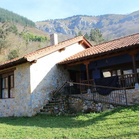 Casa Trasgu De Tornin-Cangas De Onis- Enjoy Life In Asturias Lägenhet Exteriör bild