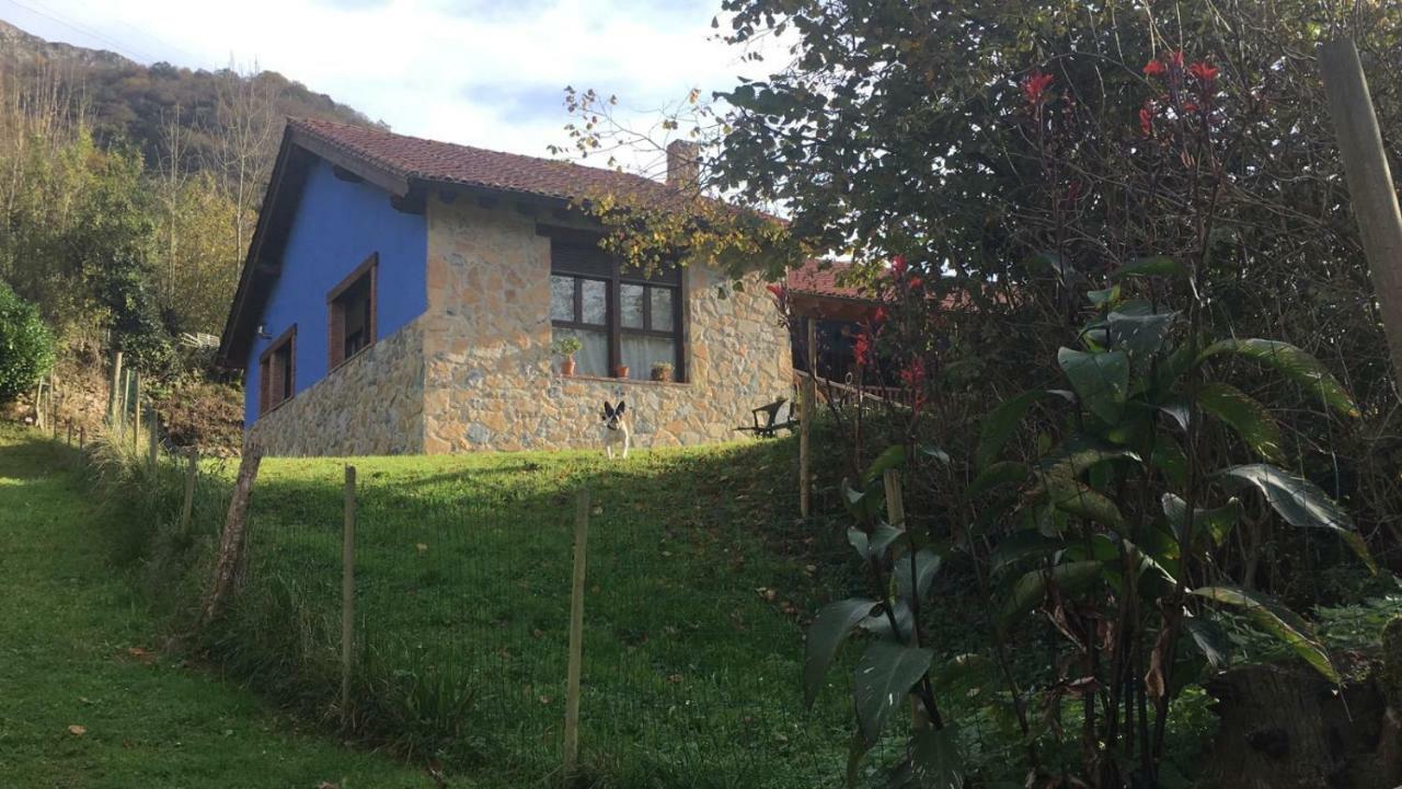 Casa Trasgu De Tornin-Cangas De Onis- Enjoy Life In Asturias Lägenhet Exteriör bild