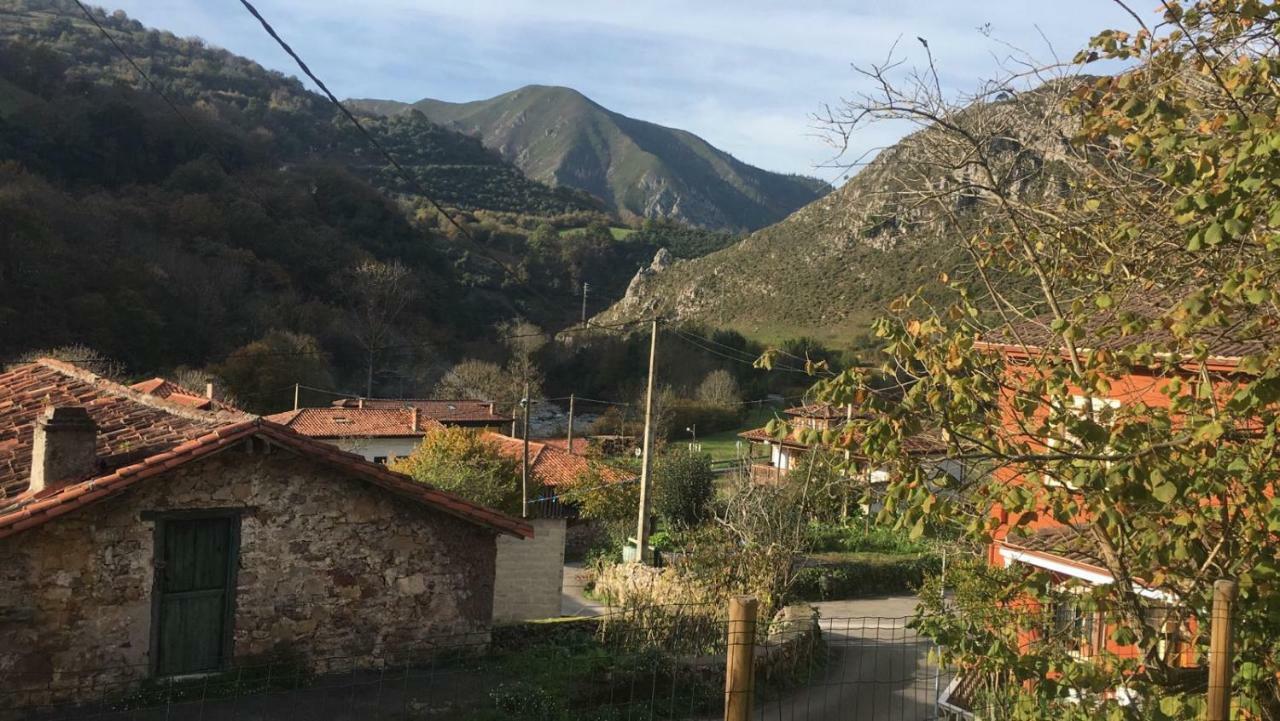 Casa Trasgu De Tornin-Cangas De Onis- Enjoy Life In Asturias Lägenhet Exteriör bild